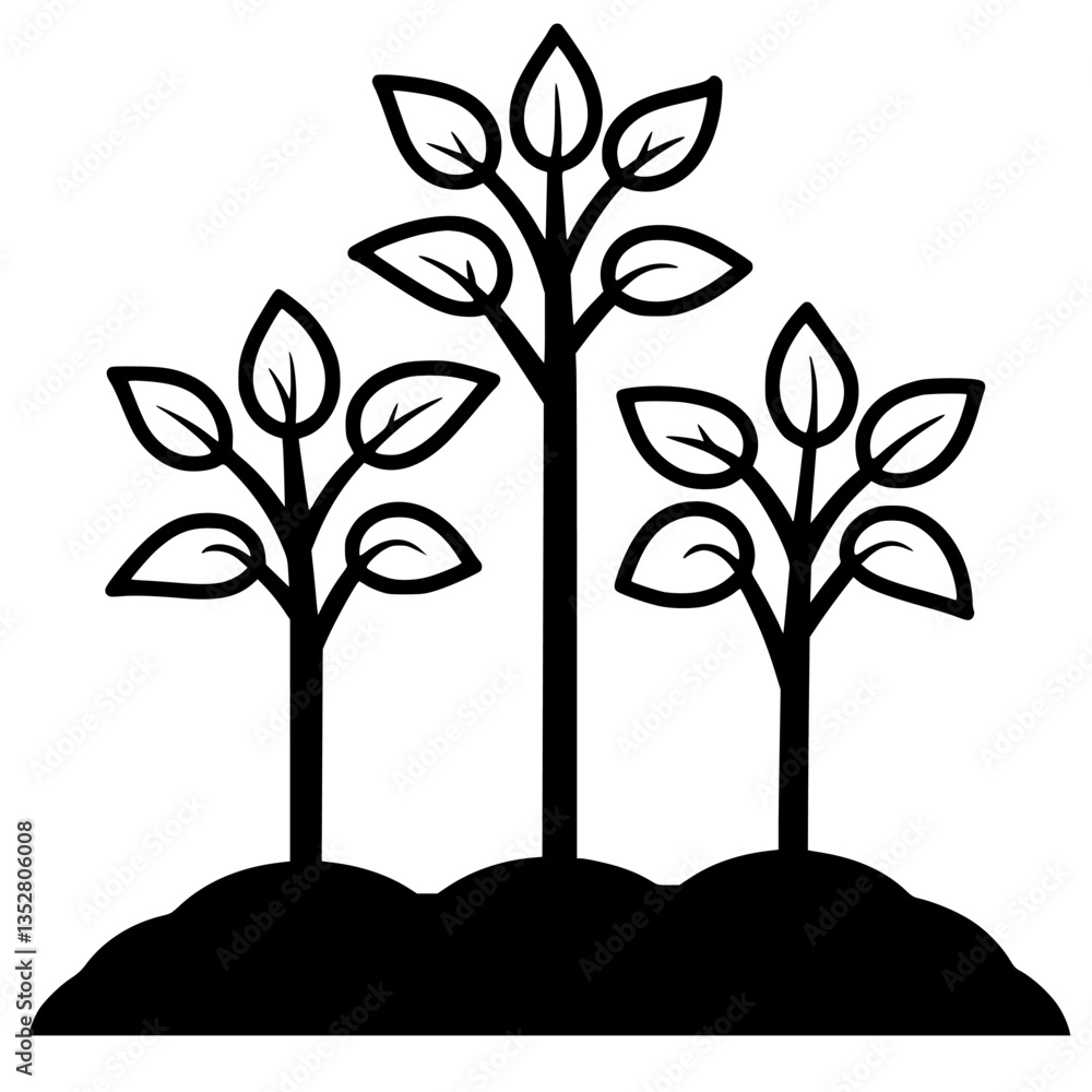 Poster trees with lush leaves growing in a garden during sunny weather in springtime creating a vibrant nat