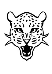 leopard animal feroce