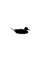 canard dessin