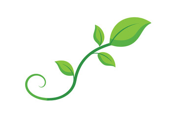 Obraz premium Green Stem with Leaves on a White Backdrop, Simple Leafy Branch