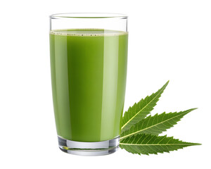 Glass of Fresh Green Herbal Juice with Neem Leaves – Healthy Detox Drink for Wellness and Natural Healing.