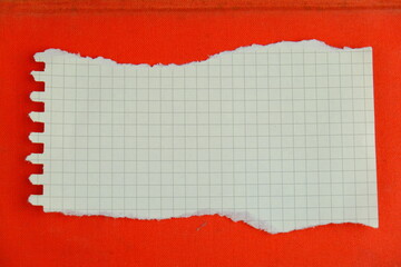 torn paper with plain background for text space concept
