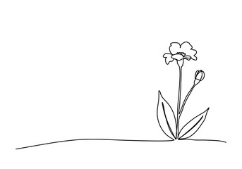 Flower. One line drawing vector illustration.