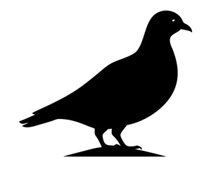 Obraz premium Silhouette of a Pigeon: A clean silhouette of a pigeon in profile, embodying simplicity, grace, and potential freedom. Perfect for conveying ideas of peace, communication, or urban wildlife. AI Genera