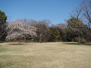 東京港野鳥公園の風景