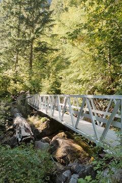Lindeman Greendrop Trail leading to Lindeman Lake located in the Chilliwack Lake Provincial Park during a summer season in Chilliwack, British Columbia, Canada