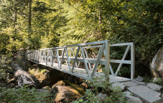 Lindeman Greendrop Trail leading to Lindeman Lake located in the Chilliwack Lake Provincial Park during a summer season in Chilliwack, British Columbia, Canada