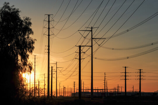 Dense alignment of transmission towers and utility poles carry high-voltage power lines across an industrial corridor at sunrise, silhouetted alongside trees and factories