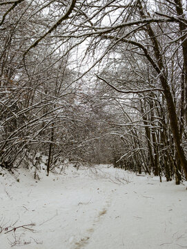Nature enneig&eacute;e