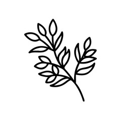 Black outline of botanical branch with leaves