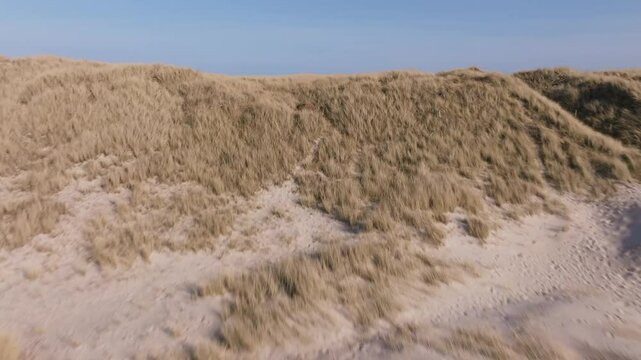 Denmark Beach with Sand Dune Aerial View