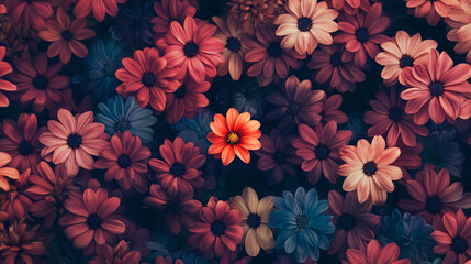 Vibrant floral arrangement featuring a single bright flower among a sea of colorful blossoms in nature