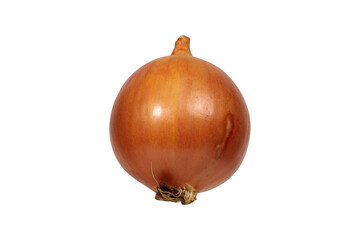 Fresh and Vibrant Whole Onion Isolated png Background.