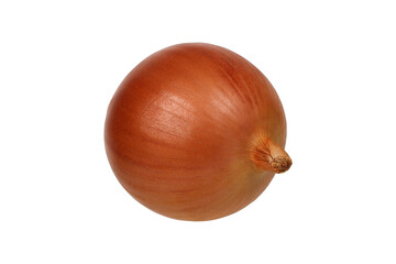 Fresh and Vibrant Whole Onion Isolated png Background.