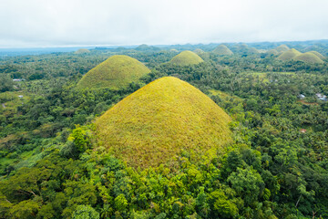 Aerial Majesty – Soaring Over the Iconic Chocolate Hills of Bohol Philippines