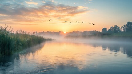 Fototapeta premium A beautiful sunrise over the calm water with flying birds
