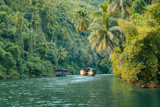 Dining in Paradise &ndash; A Scenic Feast Aboard the Loboc River Cruise, Bohol