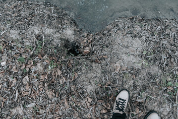 Background. thin and frosty ice surface close up. Detailed photo patterned blue background