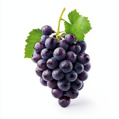 Fototapeta premium Fresh purple grapes on white background display