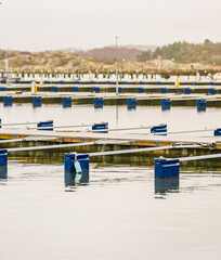 marina with empty boat docks on calm overcast day.