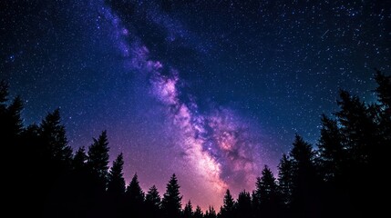 Milky Way Galaxy over Pine Forest Night Sky