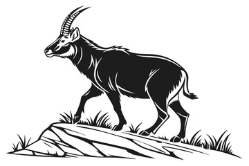Majestic Black and White Silhouette of a Mountain Nyala on a Rocky Outcrop
