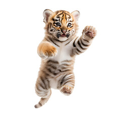 Fototapeta premium Playful tiger cub mid-leap, displaying youthful energy and cuteness with its paws outstretched and a slightly open mouth, showcasing its endearing expression.