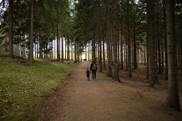 Obraz premium A father and his son walk through a peaceful forest, enjoying fresh air and nature.A beautiful moment of family bonding, fresh air, and outdoor activity, highlighting the importance of spending time .