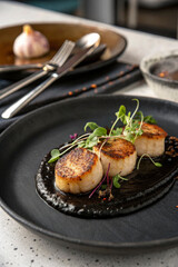 A fine-dining dish featuring slow-roasted black garlic puree elegantly smeared on a matte black plate, paired with seared scallops and microgreens