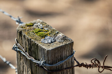 a fence of wood and wire