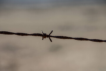 Details of a barb wire