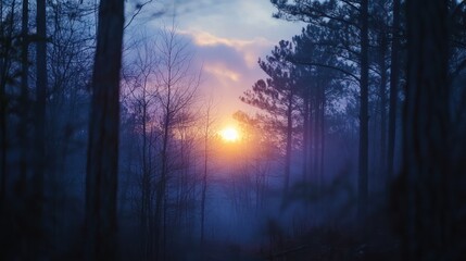 Fototapeta premium Misty sunset forest scene, sun peeking through trees, winter landscape, nature background, ideal for travel brochures