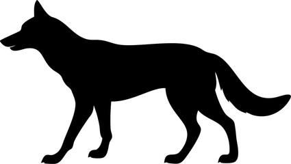 Coyote Silhouette: A striking black silhouette of a coyote captured against a stark backdrop, highlighting the sleek form and alert posture of this iconic animal.