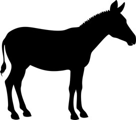 Silhouette of Zebra: A minimalist yet powerful depiction of a zebra silhouette. The high-contrast image emphasizes the animal's form.
