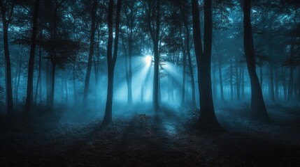Fototapeta premium Moonlit foggy forest path, mystical ambiance, nature scene, fantasy backdrop