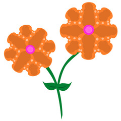 orange flower isolated on white background