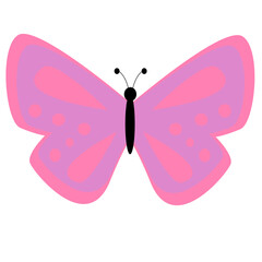 butterfly vector illustration