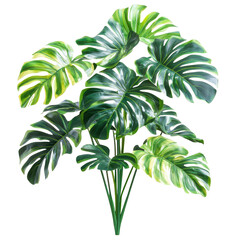 Vibrant tropical leaves create a lush jungle atmosphere in any indoor space, Tropical leaves foliage plant jungle bush floral on Transparent background