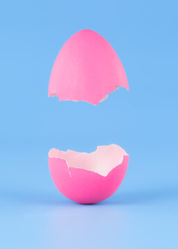 Single pink Easter Egg on blue background broken in pieces and opening like a hatching egg. Real dyed Easter egg shell cracked open vertically.