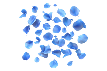 3D illustration of tiny blue petals isolated on transparent background
