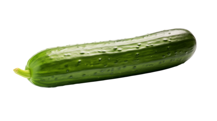 A single green cucumber with small bumps on its skin against a completely black backgroundisolated on transparent background