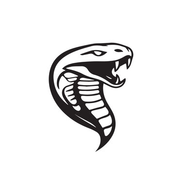 Snake silhouette on white background. Snake logo. Vector illustration.