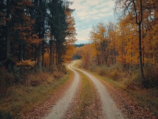 Obraz premium Autumn path winding through a vibrant forest landscape, showcasing nature's beauty and serenity under a soft sky.