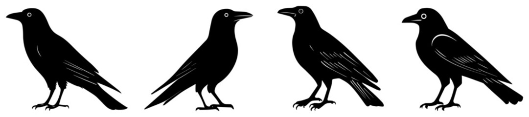 Fototapeta premium Crow Silhouette Vector Set, Black Raven Bird Illustration for Designs and Logos