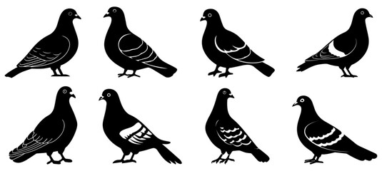 Pigeon Silhouette Vector Set, Collection of Decorative Flying Bird Icons