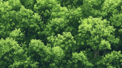 Naklejka premium Aerial View of Lush Green Forest Canopy