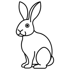 Easter Bunny Line Art Drawing