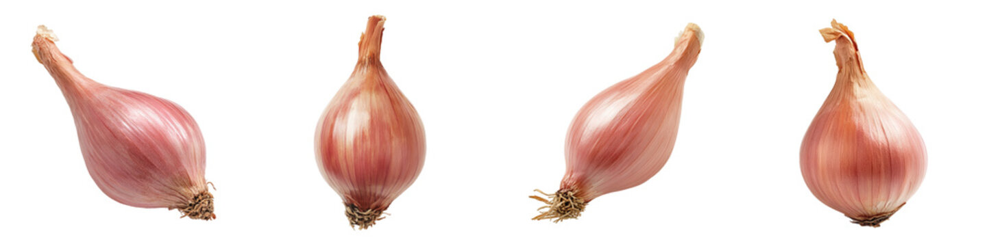 Four fresh shallots showcase a culinary ingredient with its bulbous shape and delicate layers.