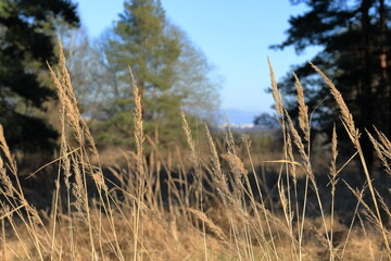 Fototapeta premium Spring landscape during the month of Mars, 2025. Järfälla, Stockholm, Sweden.