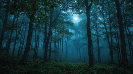 Obraz premium Moonlit foggy forest path, mystical night scene, background trees, nature wallpaper